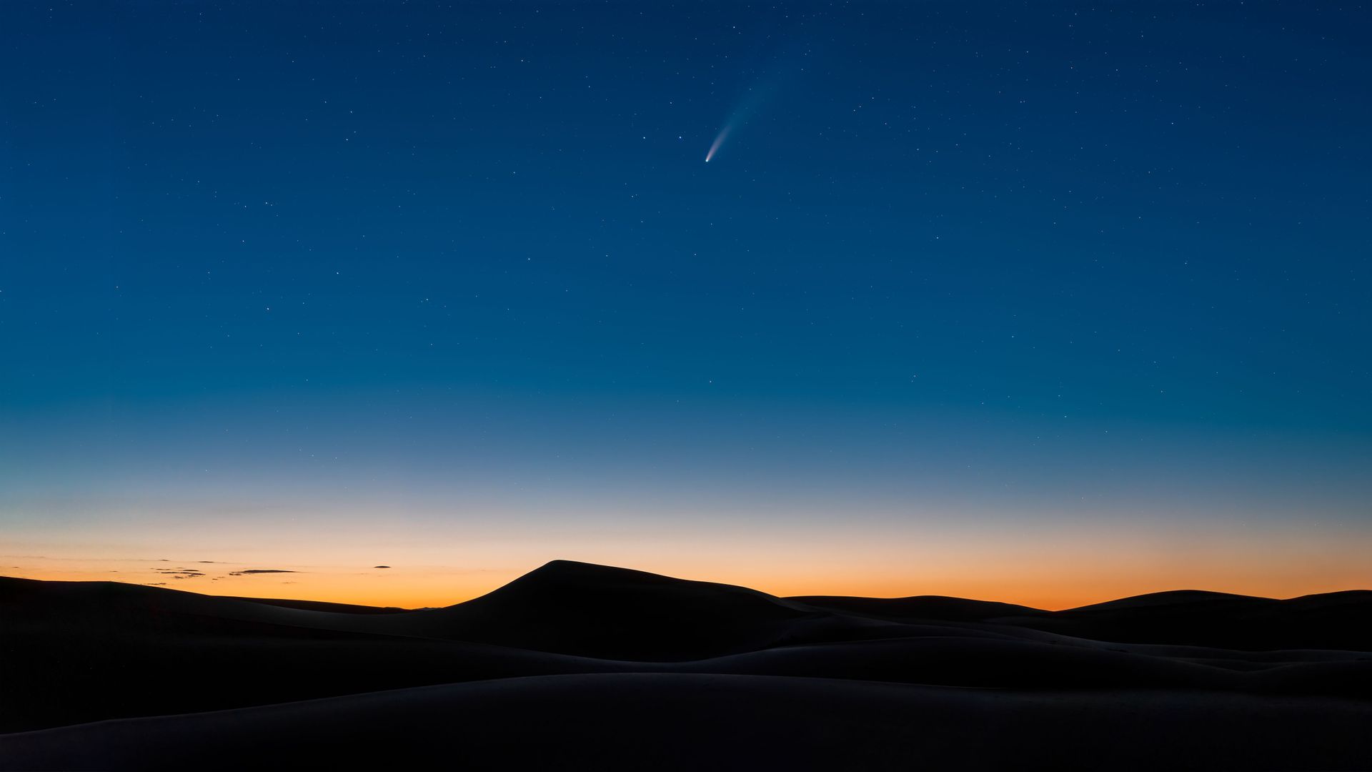 请不要在发送垃圾评论了！！